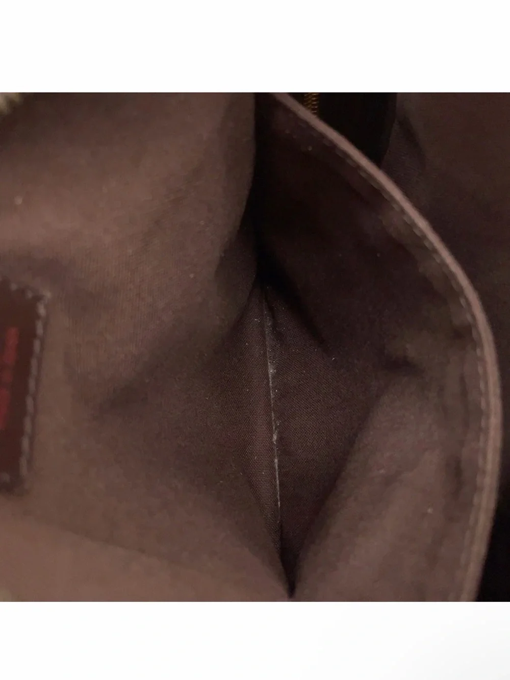 Louis Vuitton authentic louis